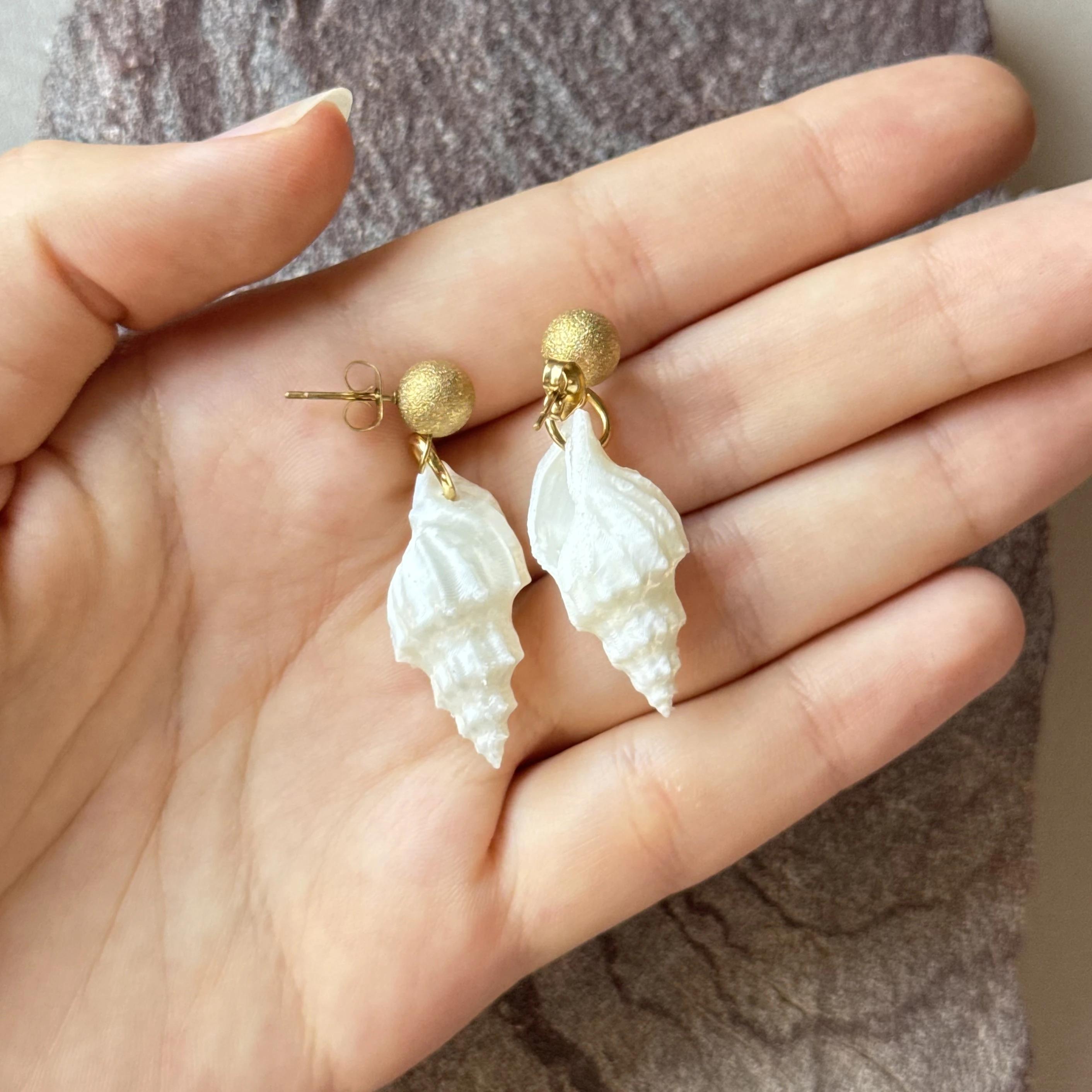Sea Shell Earrings